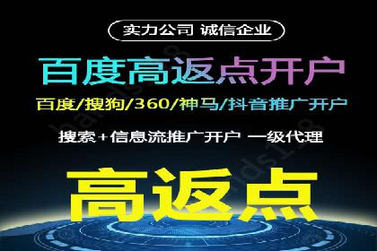 某公司SEM代理策略：实现流量转化